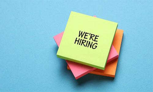 Gnomon Wise აცხადებს ვაკანსიას მკვლევრის პოზიციაზე ეკონომიკის მიმართულებით