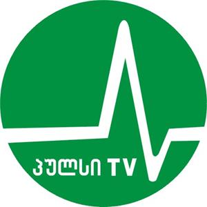 პულსი TV Gnomon Wise -ის მიერ ორგანიზებული დისკუსიის შესახებ