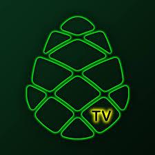 Gnomon Wise -ის მკვლევარი თამარ ქეცბაია სტუმრად Girchi TV -ის გადაცემაში "თავისუფალი ბაზარი"