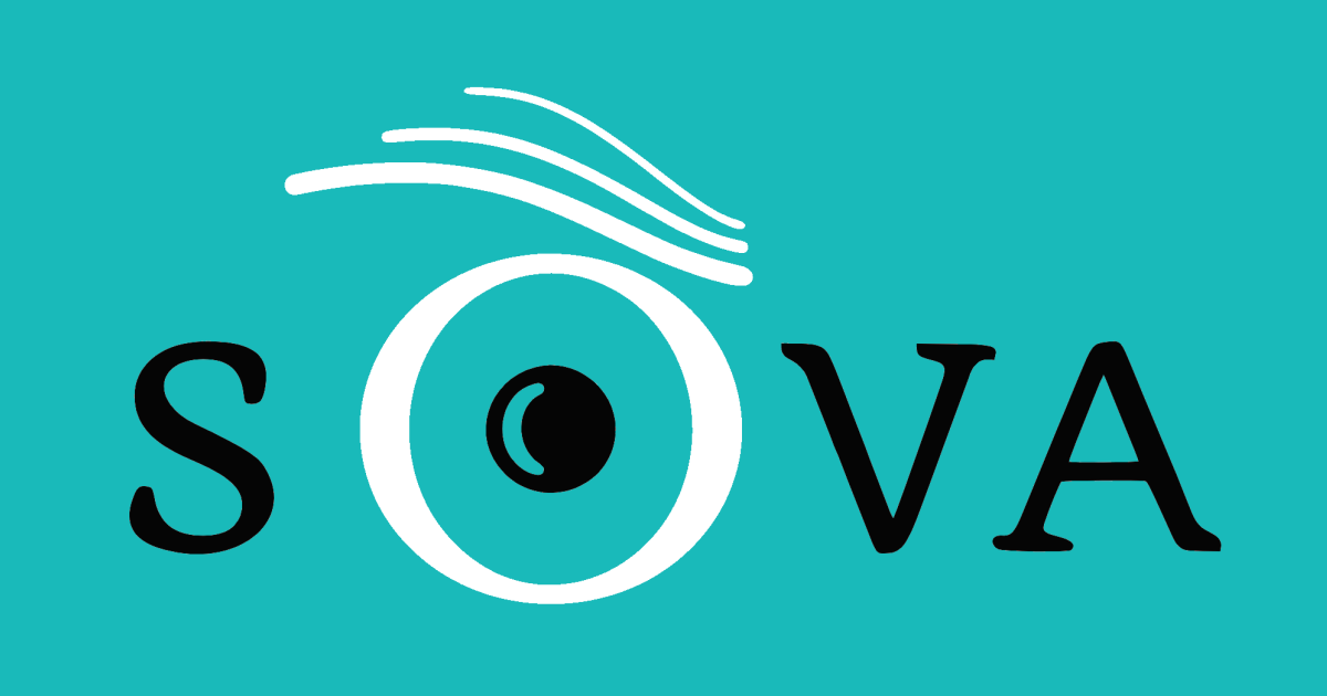 ინტერვიუ ეგნატე შამუგიასთან SOVA NEWS-ზე - თემა: რუსული ინვესტიციების კონტროლი