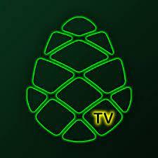 Davit Zedelashvili Visits "Girchi" TV - Topic: Problems of the Georgian Judicial System