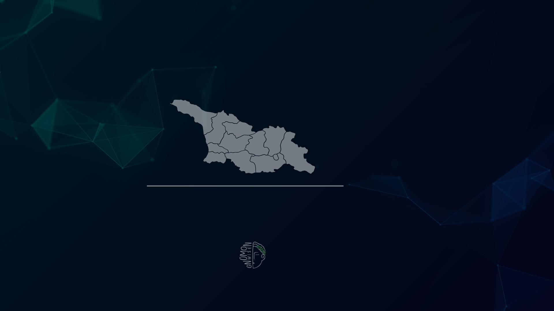 საქართველოს ეროვნული უსაფრთხოების არქიტექტურა - პრობლემები და მათი გადაჭრის შესაძლო გზები