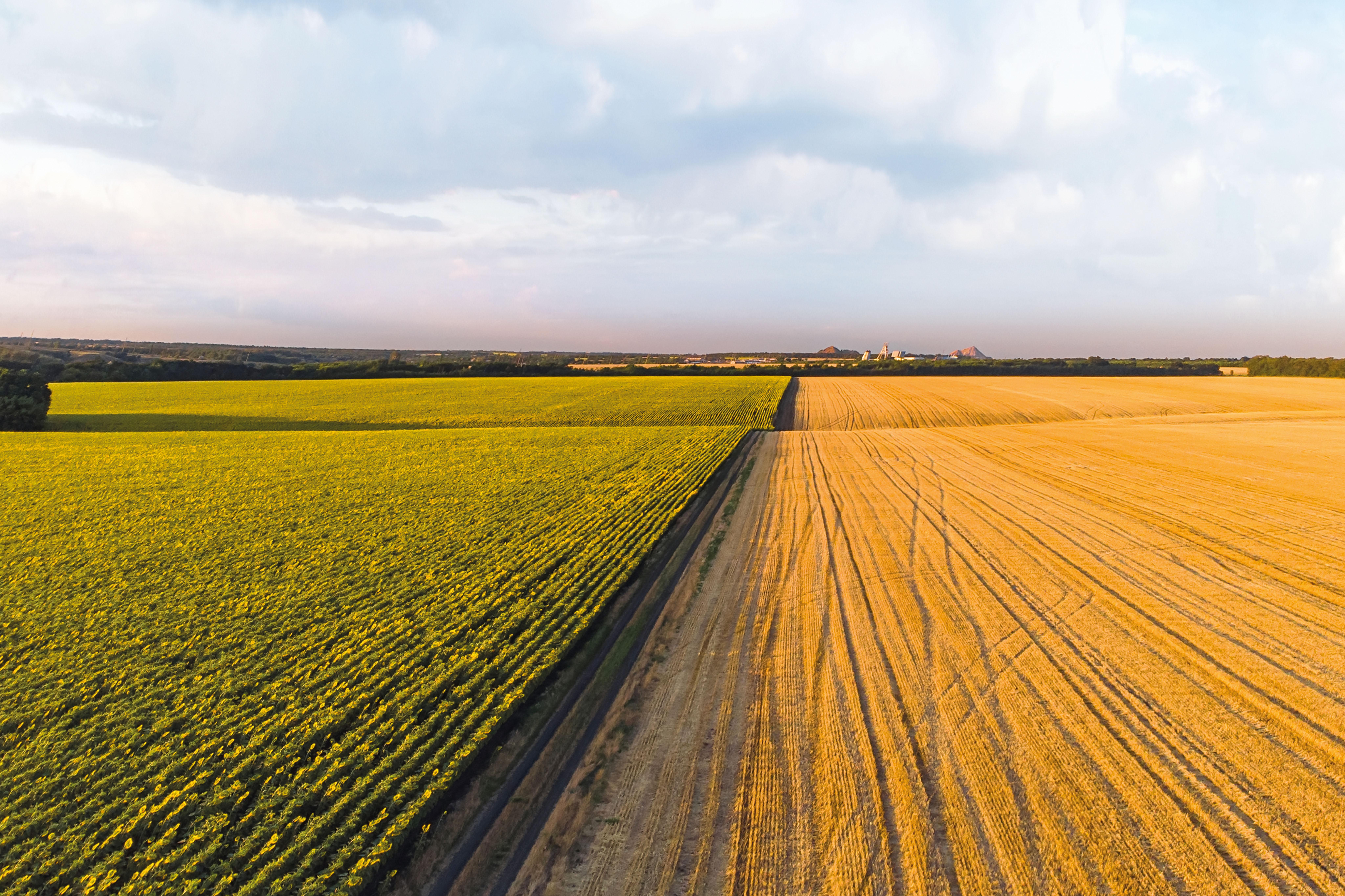 Direction of Agricultural Reform of Georgia