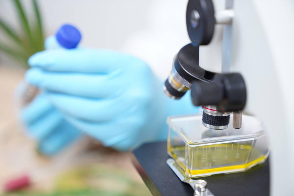 New Coronavirus - Science and Political Risks