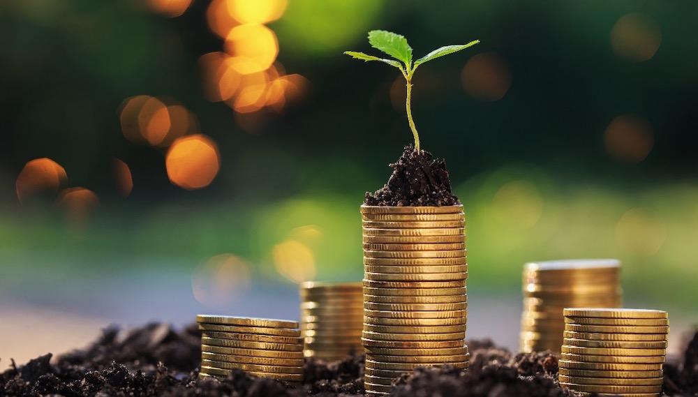 საქართველოს მთავრობის სოციალური პოლიტიკის მიმოხილვა და ანალიზი - ნაწილი 1: საპენსიო სოციალური დახმარება