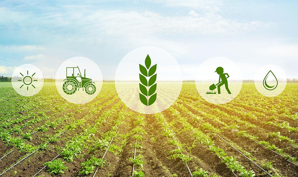 საქართველოს აგრარული სექტორის მაჩვენებლებისა და გამოწვევების ანალიზი - ნაწილი 2: სამთავრობო პოლიტიკის მიმოხილვა