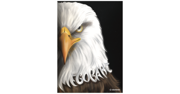 The MEGOBARI Act and the Constitutional Framework of the United States’ New Policy Towards Georgia